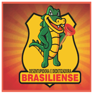 logo.desentupidora.brasiliense3.png