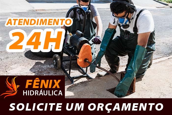 imagem fênix hidráulica